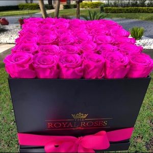 Meet your Posher, Shalon